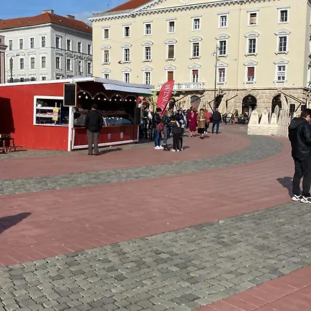 Apartament Cozy In Mijlocul Centrului Apartment Timisoara
